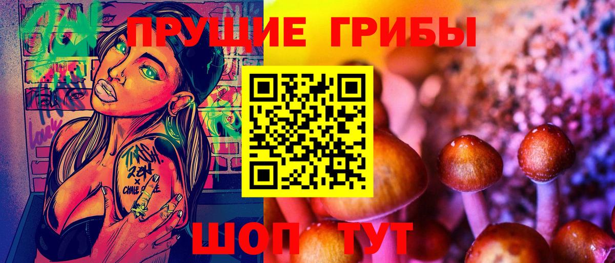 Лабинск  Галлюциногенные грибы Cubensis  Вход с VPN 