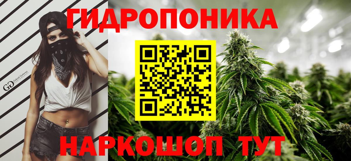 Каннабис марихуана  Конопля OG Kush  Лабинск  Бошки марихуана ГИДРОПОН 